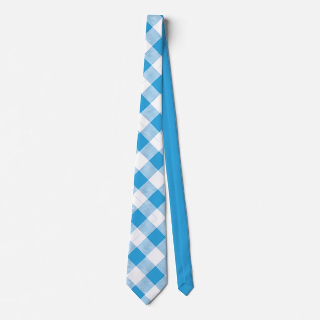 Stilren klassisk blå rutig gingham-mönster slips (Framsida)