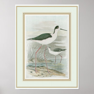 Stilter vid Vatten Poster