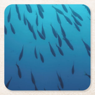 Stim av fiskar underlägg papper kvadrat