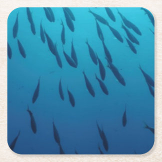 Stim av fiskar underlägg papper kvadrat