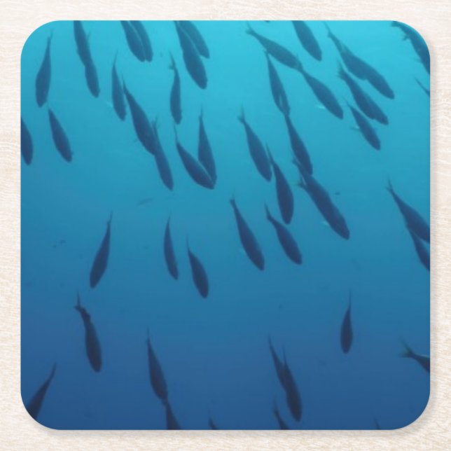 Stim av fiskar underlägg papper kvadrat (Framsidan)