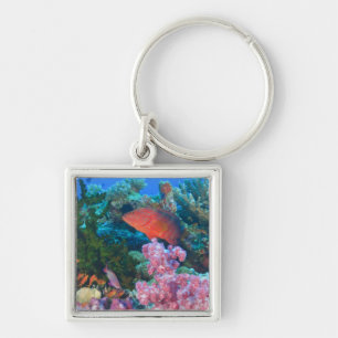 stimskola Fairy Basslets (Pseudanthias Fyrkantig Silverfärgad Nyckelring