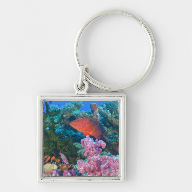 stimskola Fairy Basslets  (Pseudanthias Fyrkantig Silverfärgad Nyckelring (Framsidan)