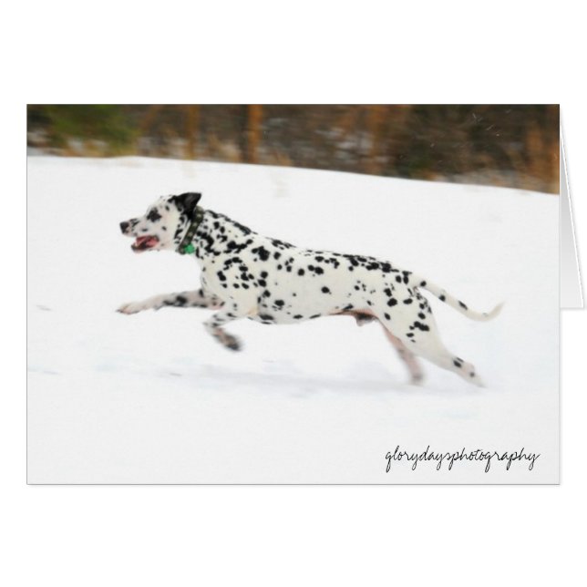 Sting Hälsningskort (Framsidan Horizontal)