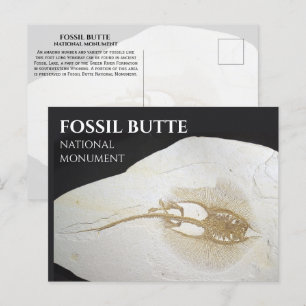 Sting Ray Fossil, Fossil Butte National Monument Vykort