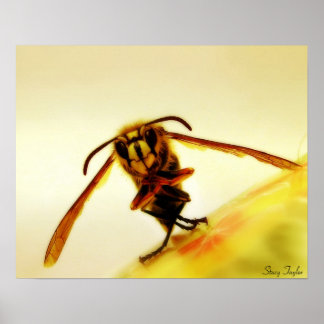 Stinger 12 poster