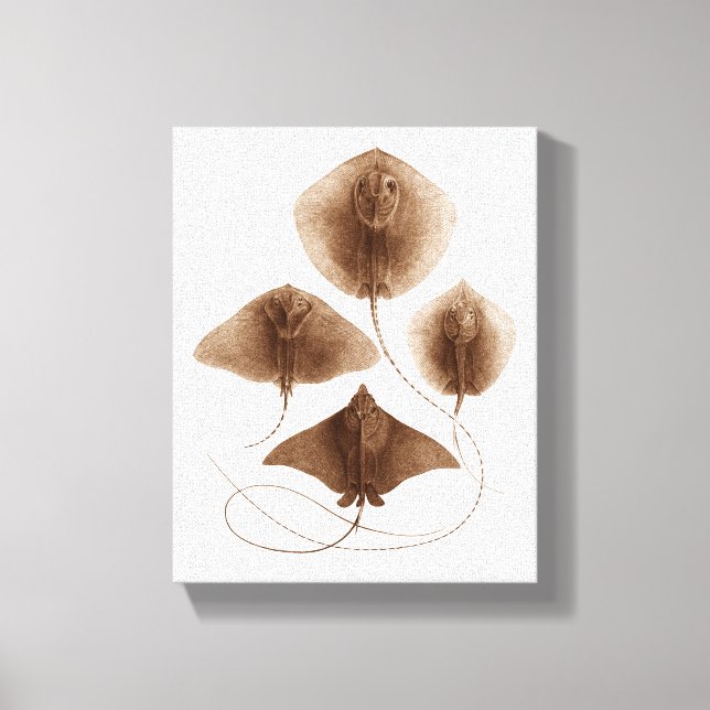 Stingray #2 Wrapped Canvas Wall Art (Framsida)
