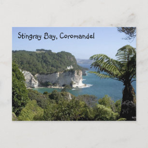 Stingray Bay, Coromandel Vykort