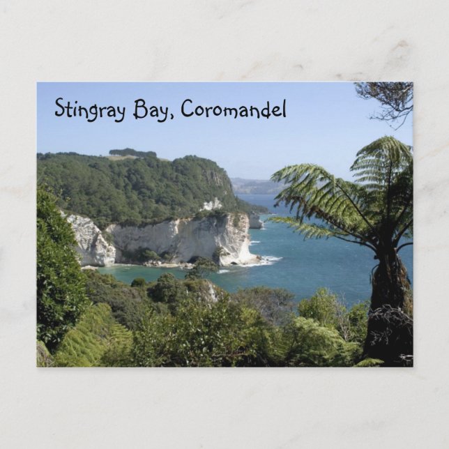 Stingray Bay, Coromandel Vykort (Framsida)