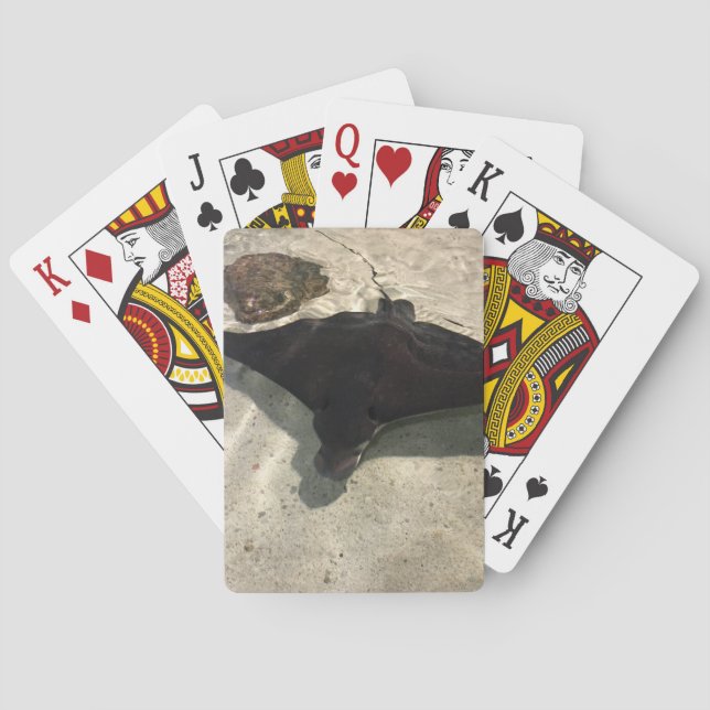 Stingray Casinokort (Baksidan)