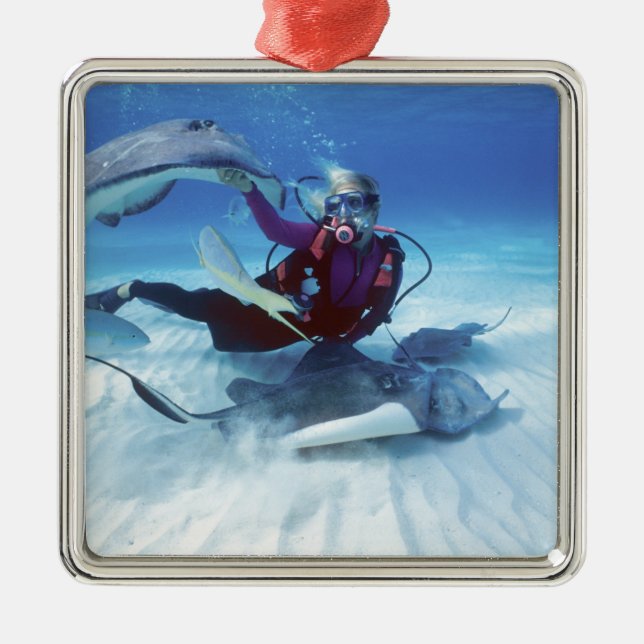 Stingray City, Grand Cayman, Caymanöarna Julgransprydnad Metall (Framsidan)