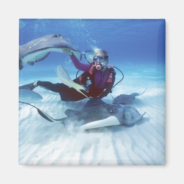 Stingray City, Grand Cayman, Caymanöarna Magnet (Framsidan)