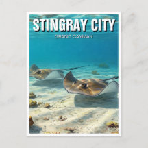 Stingray in Grand Cayman Travel