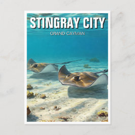 Stingray in Grand Cayman Travel Vykort