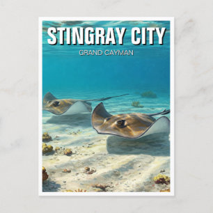Stingray in Grand Cayman Travel Vykort
