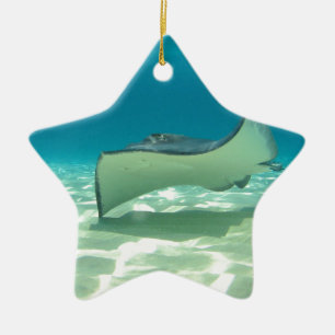 Stingray Julgransprydnad Keramik