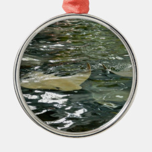Stingray Julgransprydnad Metall