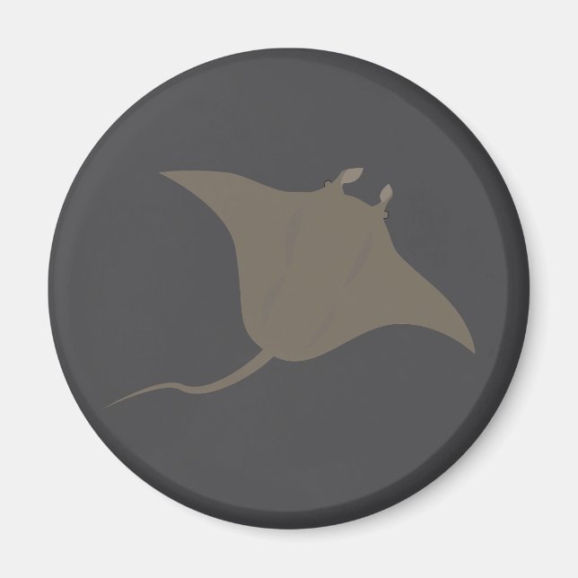 Stingray Magnet (Framsidan)