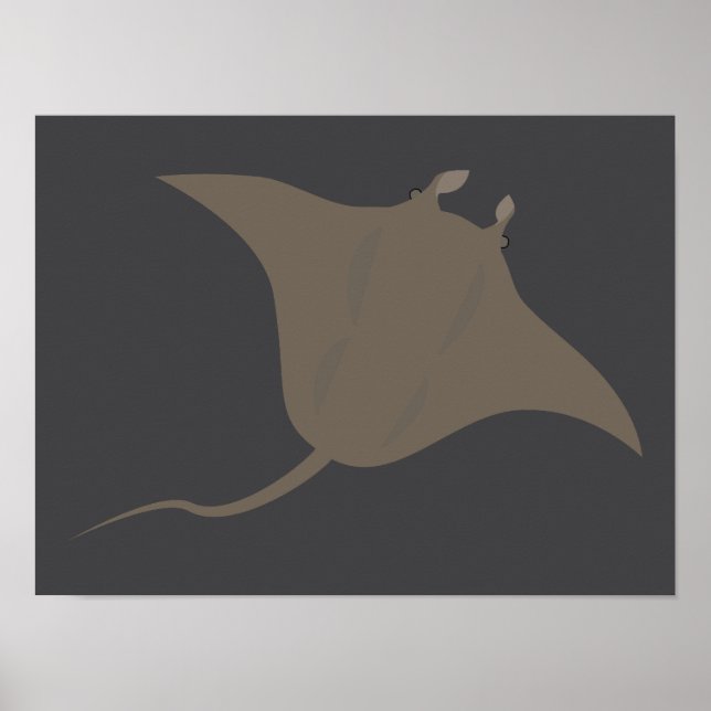 Stingray Poster (Framsidan)