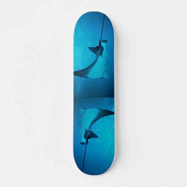 Stingray Skateboard (Framsida)