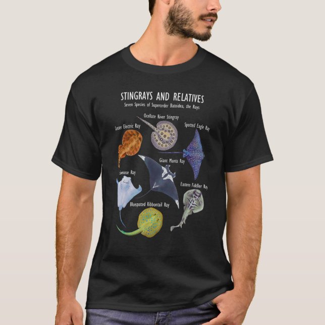 Stingray Species Manta Ray, River Stingray and Mo T Shirt (Framsida)