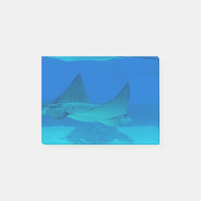 Stingrays Post-it Block (Framsida)