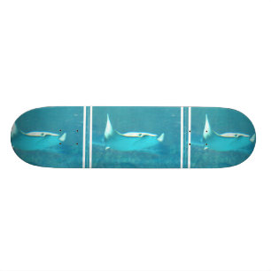 StingraySkateboard Mini Skateboard Bräda 18,7 Cm