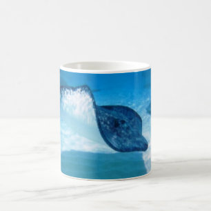 Stingraysmugg Kaffemugg