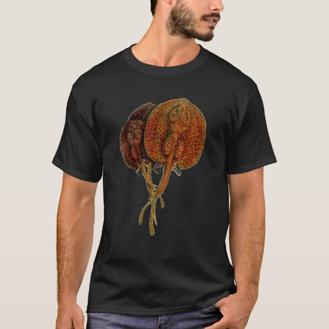 Stingrocka Ray Exotisk Fisk Monster Potamotrygon A T Shirt (Framsida)