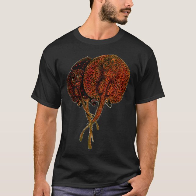 Stingrocka Rocka Potamotrygon Monsterfisk Monster  T Shirt (Framsida)