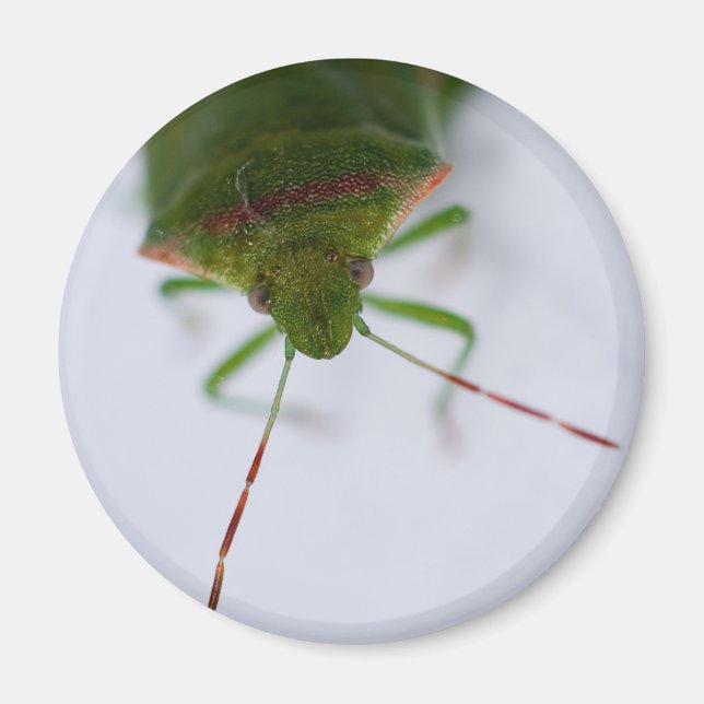 Stink Öga Magnet (Framsidan)