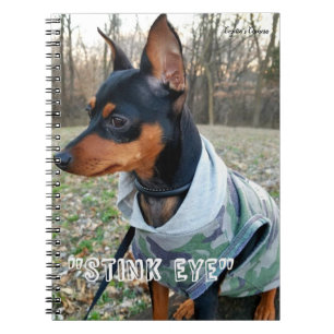 Stink Öga MInPin Anteckningsbok
