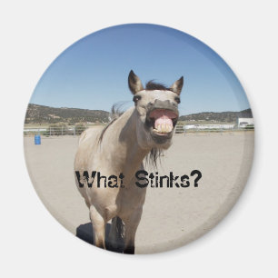 Stinker vad? magnet