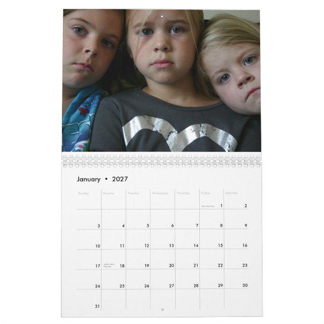 Stinky ost 2010 kalender (Jan 2027)