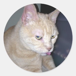 Stinky Raspberry Sticker Runt Klistermärke