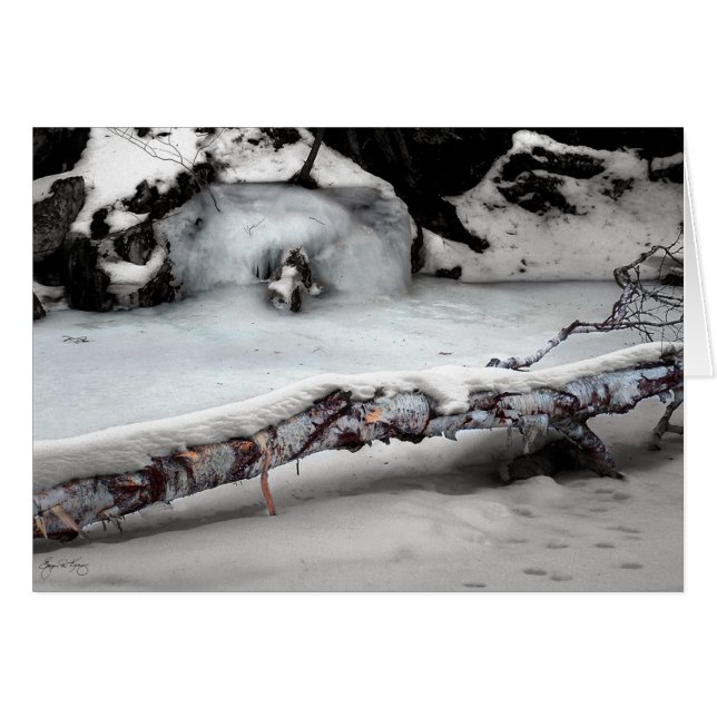Stinson bäck Birchfall Hälsningskort (Framsidan Horizontal)