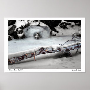 Stinson Brook Birchfall Poster