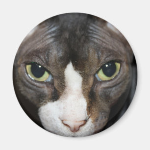 Stirra på dig magnet