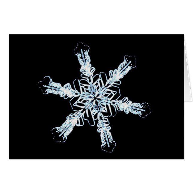 Stjärn- snökristall hälsningskort (Framsidan Horizontal)