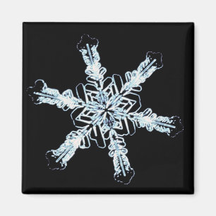 Stjärn- snökristall magnet