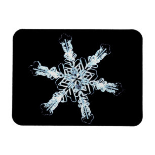 Stjärn- snökristall magnet