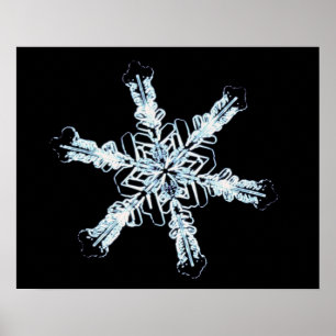 Stjärn- snökristall poster