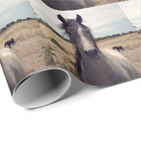 Stjärna Arabpony, svällande Papper