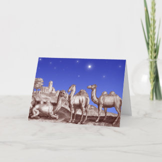 Stjärna av Bethlehem kamel Helgkort