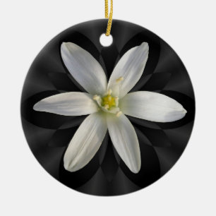 Stjärna av prydnaden för Bethlehem blomma~ Julgransprydnad Keramik