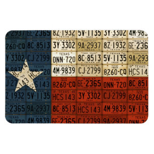 Stjärna för konst för Texas Magnet