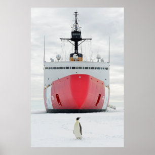 Stjärna för kustbevakningskärarepolar poster