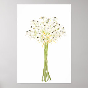 stjärna i Bethlehem-blommans vattenfärg Poster