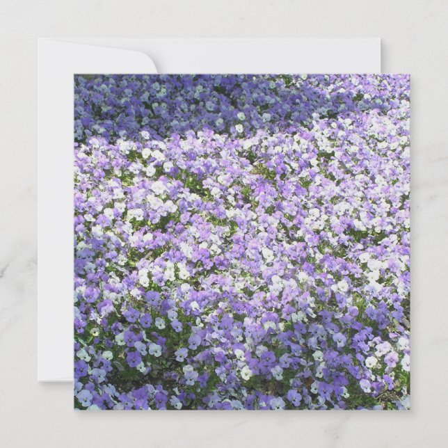 Stjärna Invitation Inbjudningar (Framsida)