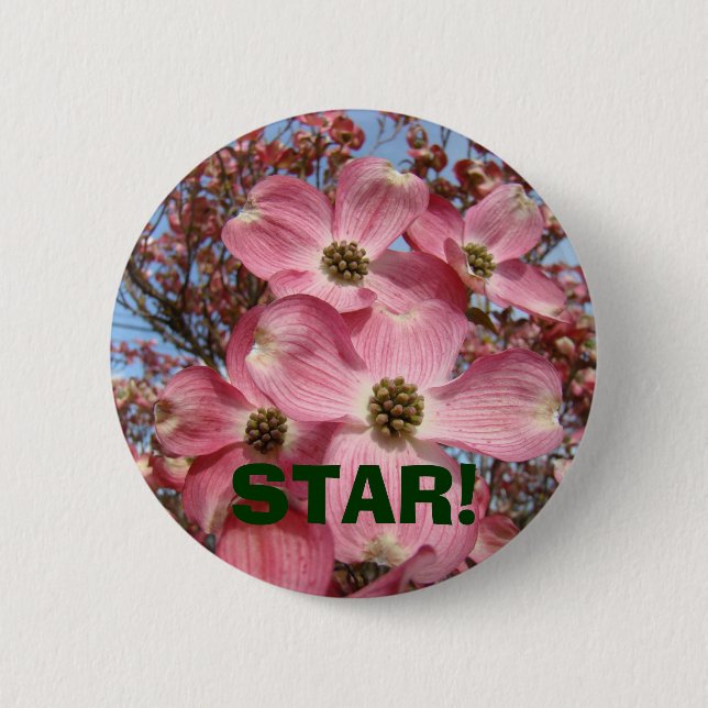 STJÄRNA! knapp Kampanjknappar Rosa Dogwood (Framsida)
